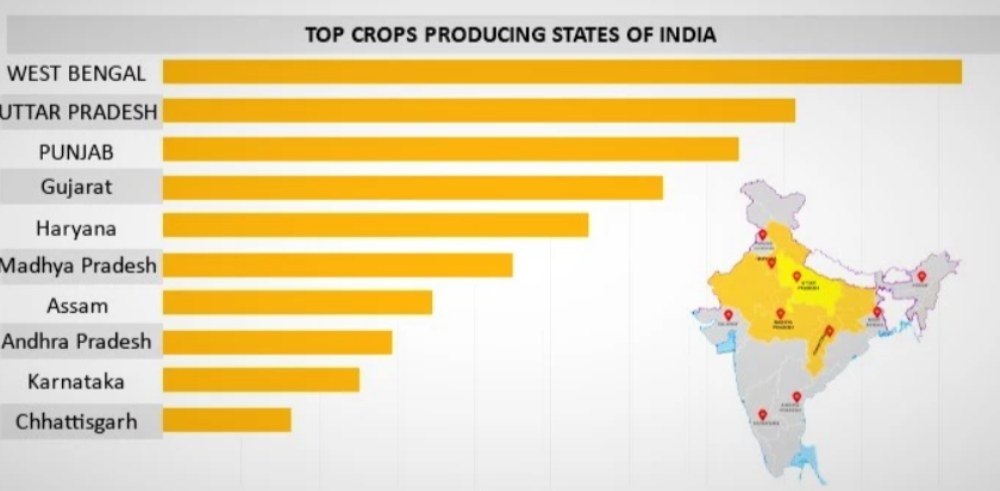 Top 10 Crops Producing States in India
