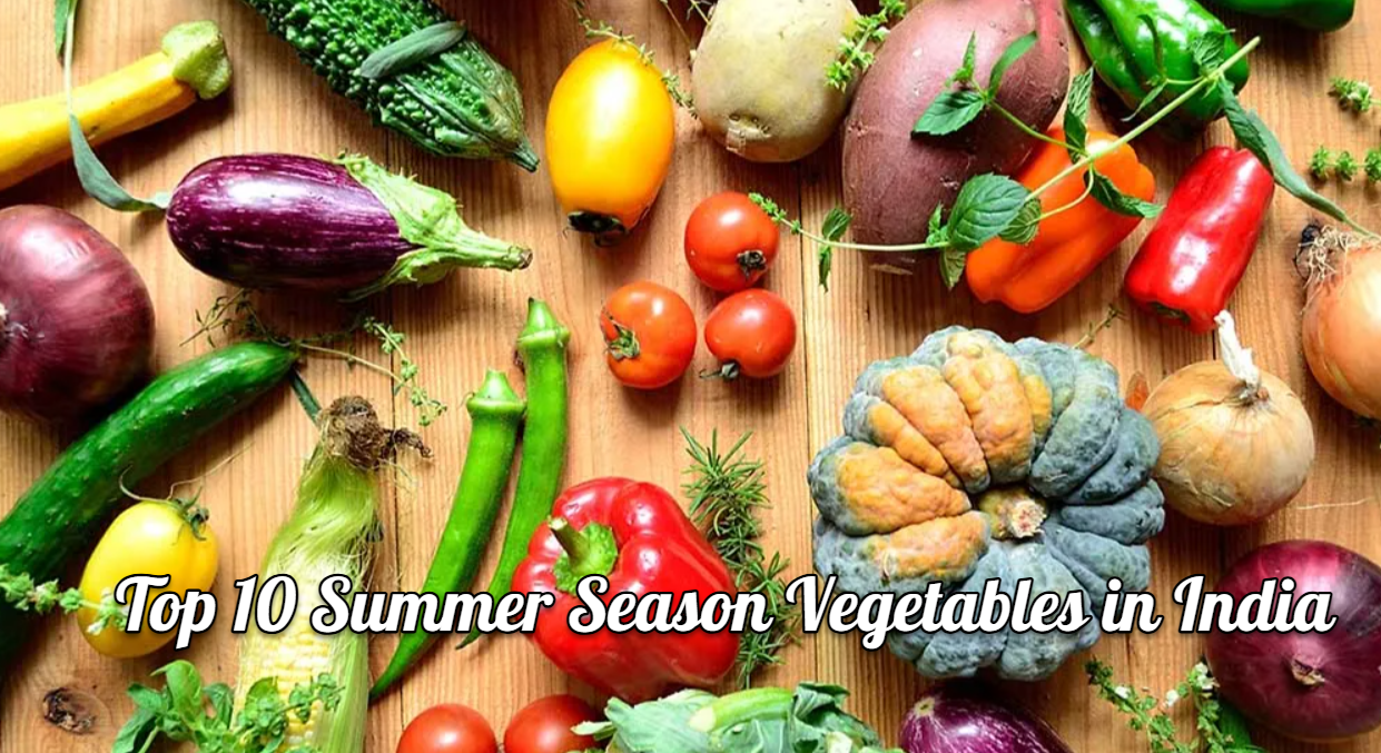 Top 10 Summer Season Vegetables in India