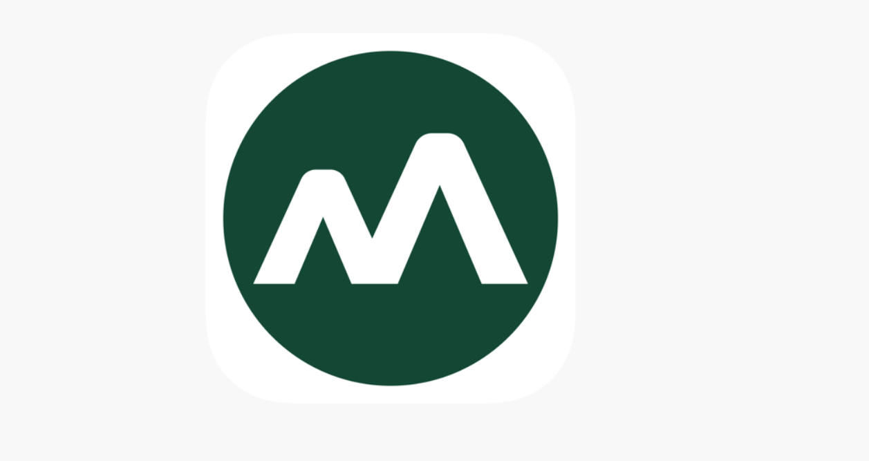 moneyview app